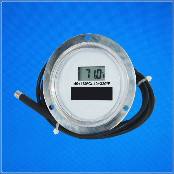 <b>Digital Thermometer</b>